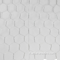 Recinzione animale flessibile 1 "x1" Fence a filo di pollo